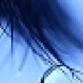 xjwsxh