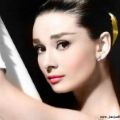 elaine_wyx